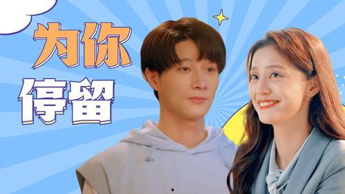 只为你停留在线观看,一场跨越时空的浪漫邂逅